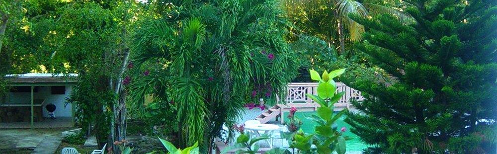 Icis Villas Brewers Bay Bagian luar foto