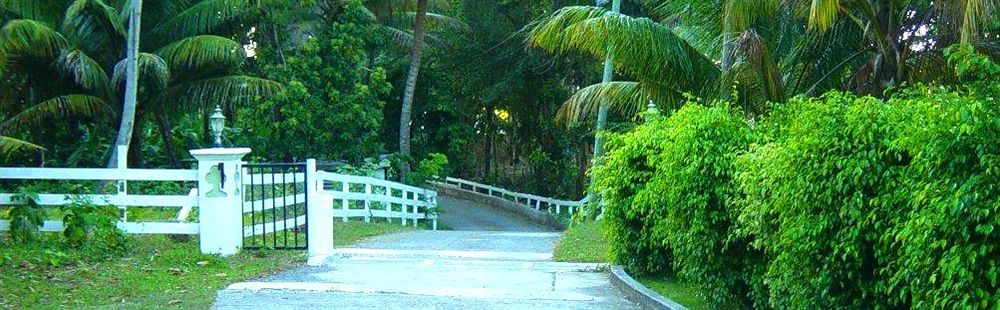 Icis Villas Brewers Bay Bagian luar foto