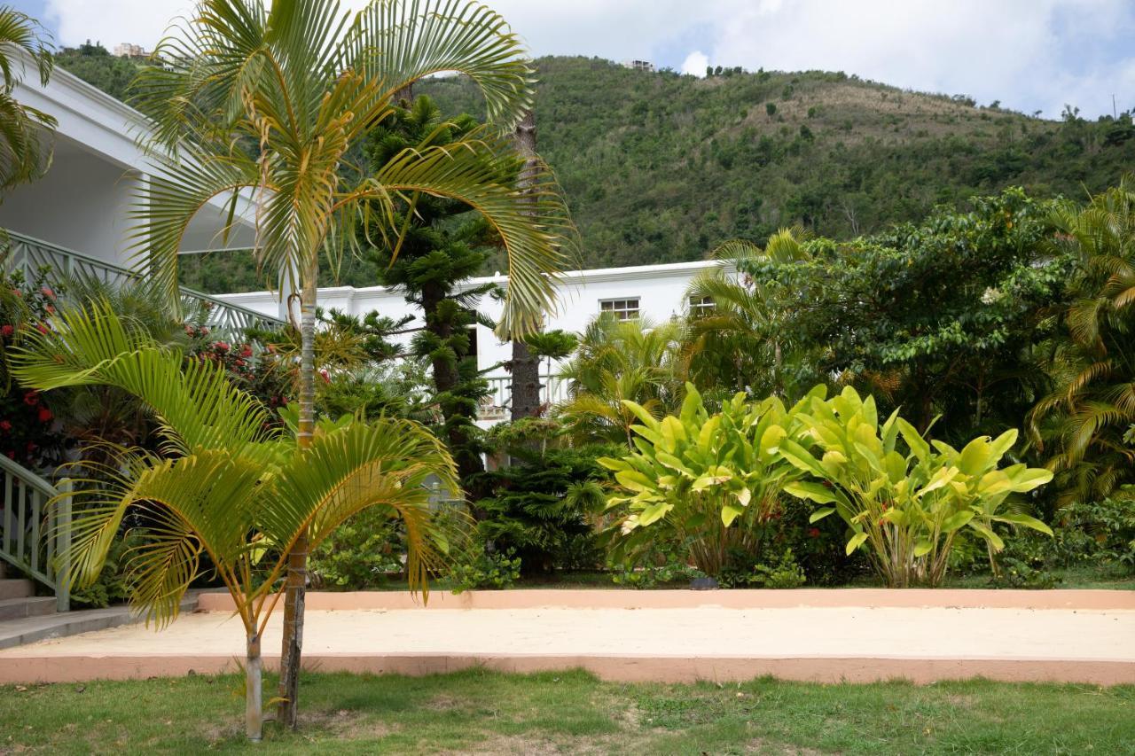 Icis Villas Brewers Bay Bagian luar foto