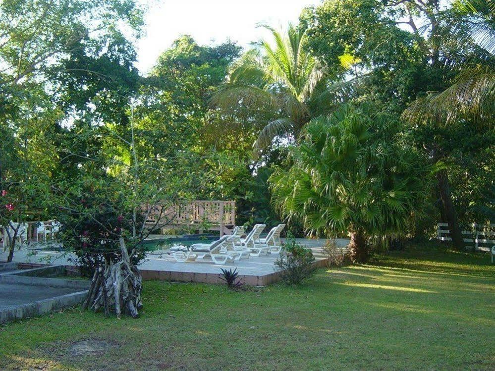Icis Villas Brewers Bay Bagian luar foto